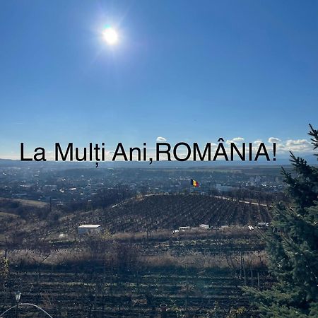 Wineyards Salin Bed and Breakfast Τούρντα Εξωτερικό φωτογραφία